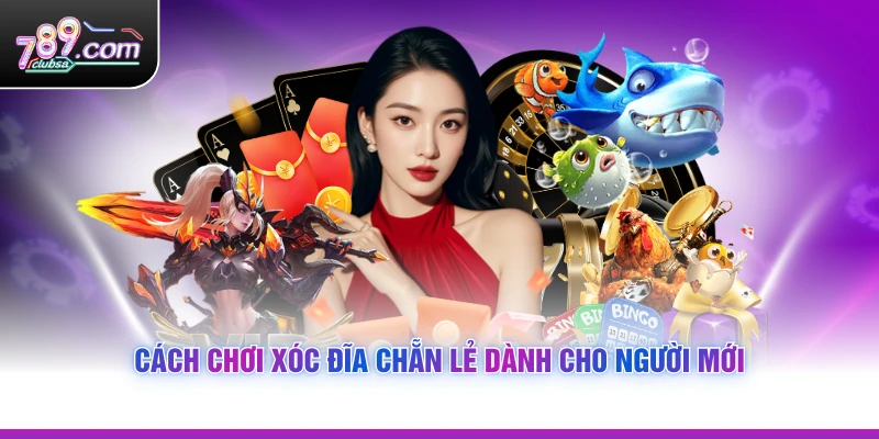 Cách Chơi Xóc Đĩa Chẵn Lẻ dành cho người mới