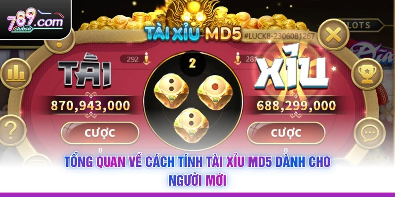 Tổng quan về Cách Tính Tài Xỉu MD5 dành cho người mới